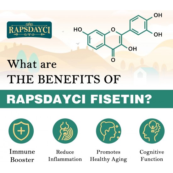 Rapsdayci Liposomal Fisetin and Quercetin 1200mg 60 Softgels, High Absorption Antioxidant Flavonoid Vitamin Supplement
